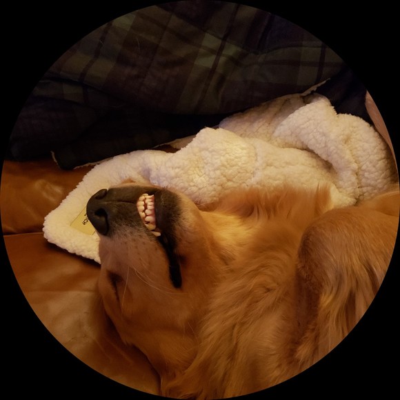 bellylaf